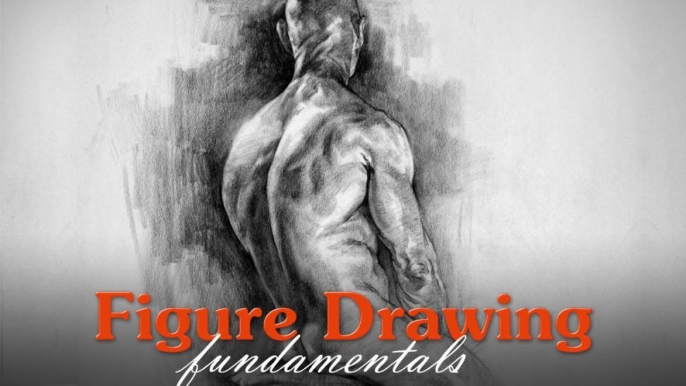 Figure Drawing Fundamentals – Proko - Cursos Gringos - D7Games